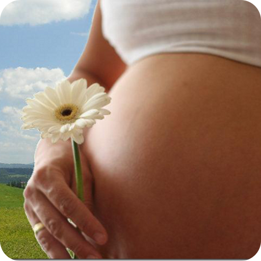 Pregnancy Calendar  Icon