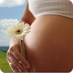 Cover Image of Download Pregnancy Calendar  APK
