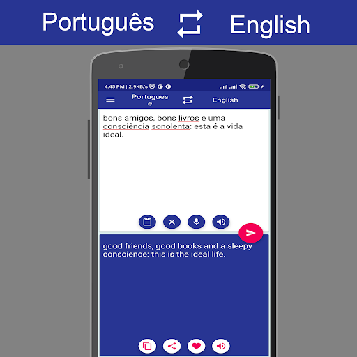 Portuguese English Translator Screen 3