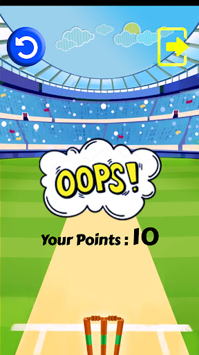 Cricket Strike Breaker Screen 2