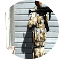 FPS Assault