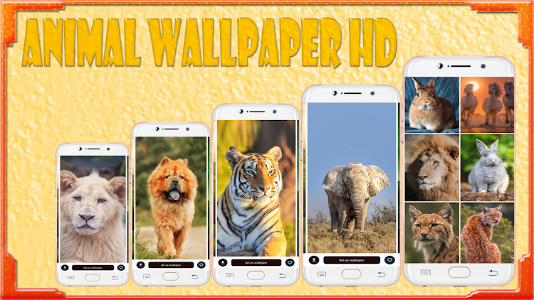 Wild Animal Wallpaper - 1.02 - (Android)