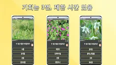길거리 식물 이름 맞추기 - Screenshot 3