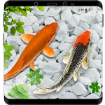 Fish Live Wallpaper 2019_ 3D Aquarium Koi Bgs Apk