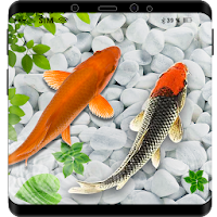 3D кои рыбы обои 2019