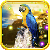Parrot Summer live wallpaper icon
