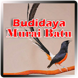 Budidaya Murai Batu icon