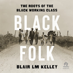 Icon image Black Folk: The Roots of the Black Working Class