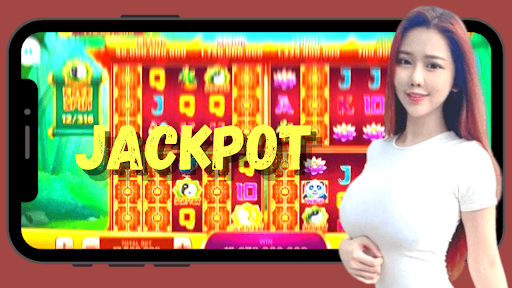 X8Speeder Higgs Domino Guide.