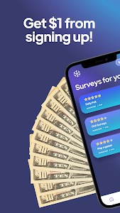 ChillSurveys: Surveys for Cash Unknown