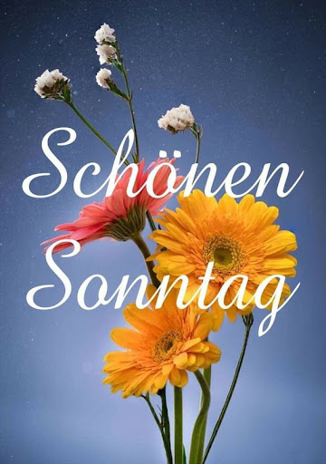 Guten Morgen für den Alltag