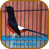 Masteran Murai Batu Gacor MP3 icon