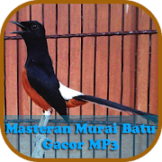 Top 40 Music & Audio Apps Like Masteran Murai Batu Gacor MP3 - Best Alternatives