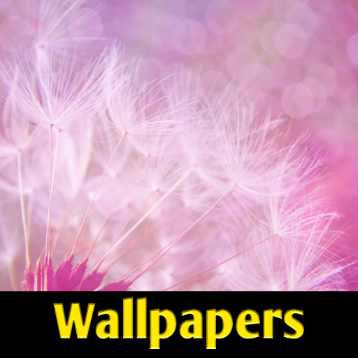 Wallpapers App logo