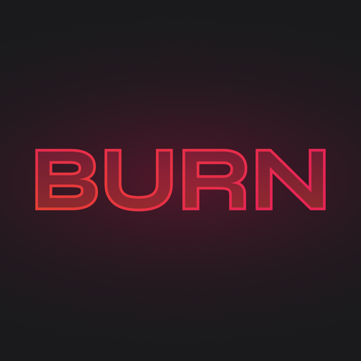 BurnAI Logo