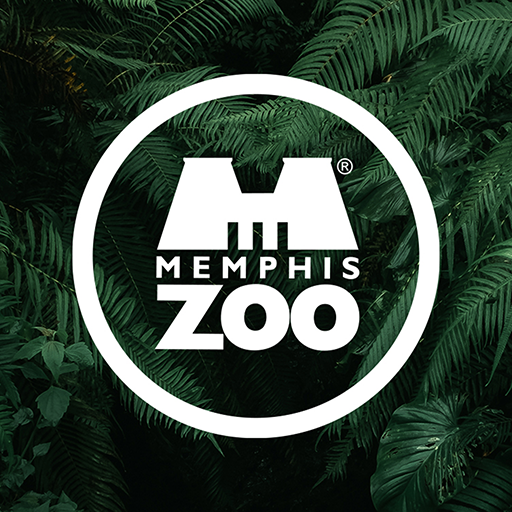 Memphis Zoo  Icon