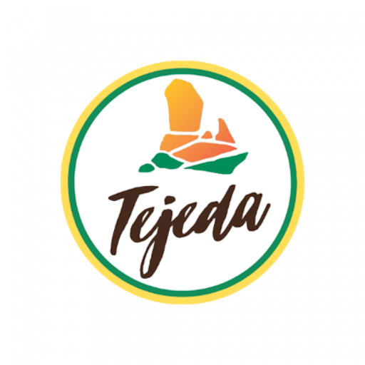 Descubre Tejeda logo