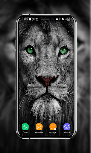 Lion Wallpapers