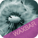 Позитивная деРиляция WAXBAR icon
