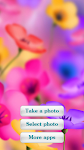 screenshot of Flowers Photo Frames 2