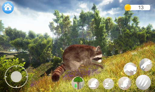 Talking Raccoon Screen 2