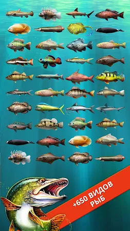 Game screenshot Let's Fish: Симулятор рыбалки apk download