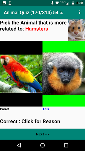 Animal Kingdom Screen 2