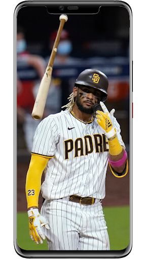 Fernando Tatís Jr Wallpapers Screen 2