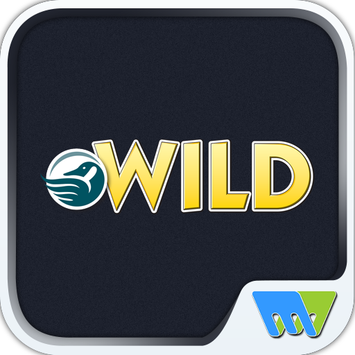 Wild Dating App Surpasses 900,000 Verified Users Globally