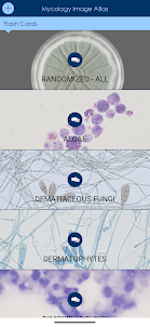 Mycology Image Atlas