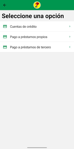 Fronteriza móvil Screen 3