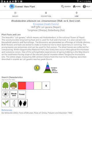 Screenshot of Wildflowers of Mount Everest