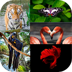 Cover Image of Tải xuống Animals Wallpapers  APK