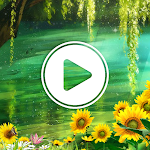 Cover Image of Download Video Live Wallpaper - HD Wall  APK