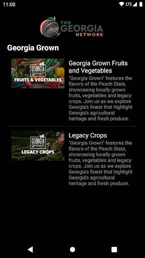Screenshot of Georgia Network TV