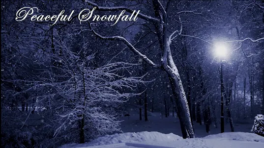 Peaceful Snowfall