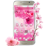 Pink Sakura Cherry Blossom Theme icon