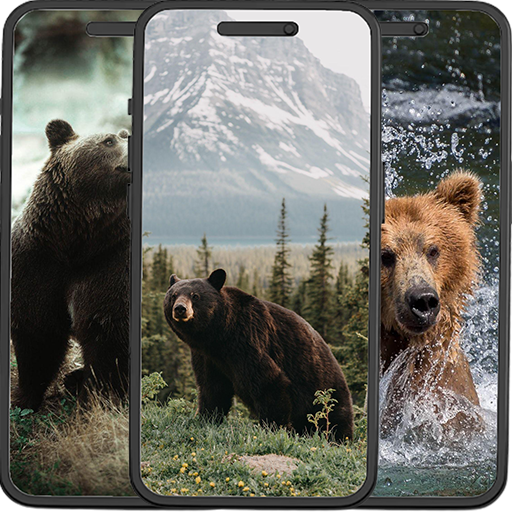 Bear Wallpapers logo