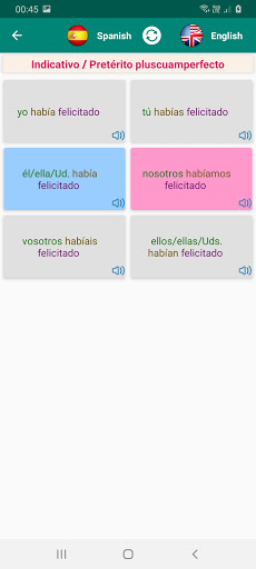 Spanish Verb Conjugation Screen 2