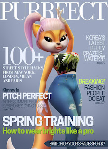 Talking Cat Kimmy Superstar poster 9