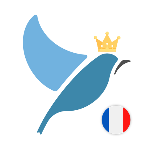 French Language Tests Download on Windows