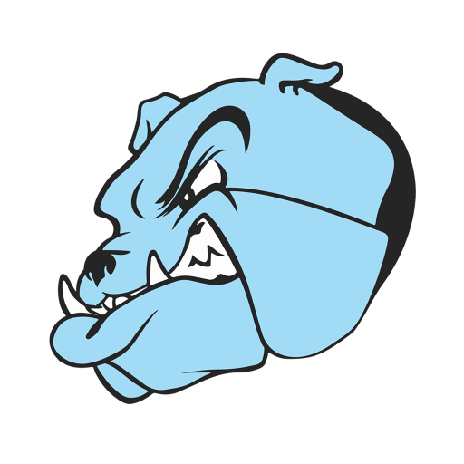 Bridgeport School District logo
