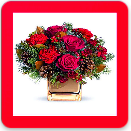 Amazing flowers images