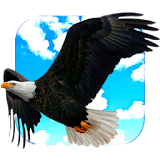 Flying Eagle Live Wallpaper icon
