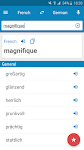 screenshot of French-German Dictionary