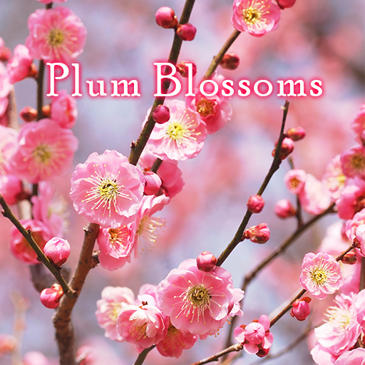 Advent of Spring Theme +HOME logo