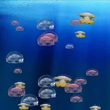Live Wallpaper Jellyfish icon