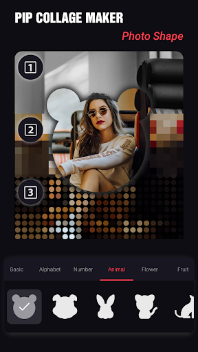 Pip collage maker -  3d collage, photo editor