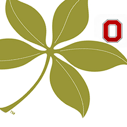 Icon image OSUCCS