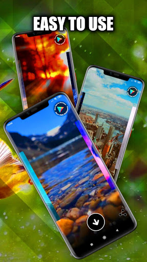 Birds Wallpaper Live 3D/HD/4K Screen 2